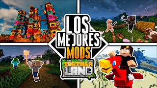 LOS MEJORES MODS DE TORTILLA LAND 2 [upl. by Ivetts]