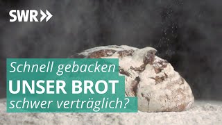 Das Geschäft mit Brot  Marktcheck SWR [upl. by Virendra]