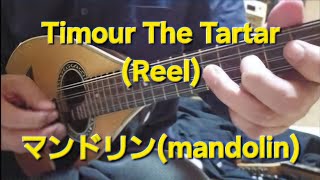 Timour The TartarReelマンドリンmandolin [upl. by Bolte]