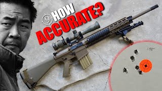 PSA M110 Clone quotSabrequot  How Accurate is it [upl. by Nev162]