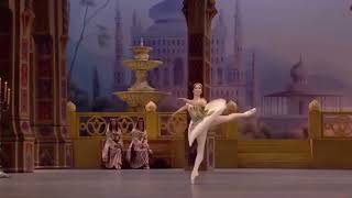 LE CORSAIRE  Odalisque Variation 2 Elvina Ibraimova  Bolshoi Ballet [upl. by Lhary]