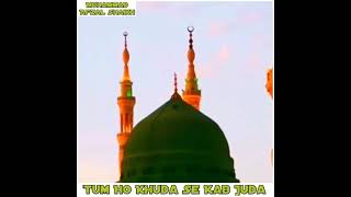 Salle Ala Muhammadin  Salle Ala Nabiena  Milad Raza Qadri Status 2021 [upl. by Goldi]