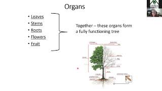 ISA Certified Arborist® Virtual Exam Prep Course Fall 2023 Ch1 BiologyCh9 Part 1 Support [upl. by Bleier]