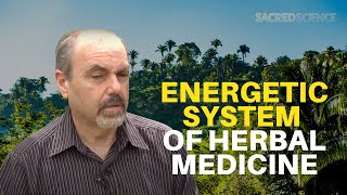 Energetic System of Herbal Medicine  David Winston  The Sacred Science [upl. by Porett150]