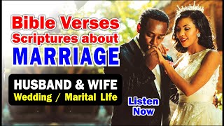 Listen 20 Bible Verses on Marriage  Scriptures on Marriage [upl. by Neerual263]