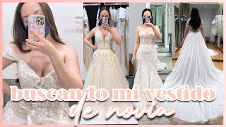 Me PRUEBO VESTIDOS de NOVIA 👰🏻‍♀️ Bridenformal Davids Bridal Pronovias y Esposa  Annie Cuspinera [upl. by Eniak291]