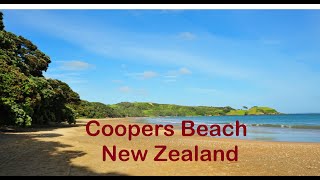 Coopers Beach Doubtless Bay New Zealand [upl. by Tertius635]