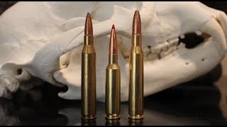 65 Creedmoor vs 270 vs 2506 The Results Might Surprise You [upl. by Llednav434]