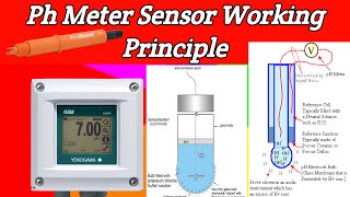 Ph meter sensor working principlehow a ph probe worksph meter working and principle [upl. by Sloan]