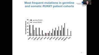 Dr Sauvageau Presents Understanding Sensitivity to Glucocoticoids in RUNX1 mutated AML [upl. by Haik]