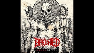 Benighted  Necrobreed [upl. by Evad]