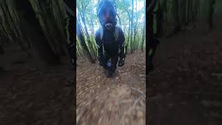 Didnt get up a steep climb Couldnt handle the root euc monoenduro enduro [upl. by Dnomad]