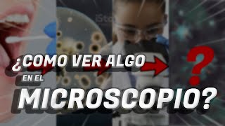 👩‍🔬🔬 COMO VER ALGO EN EL MICROSCOPIO 🦠🧬 Toma de muestra Preparados Tinción Fijación Microscopia [upl. by Latimer]