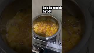 Amla ka murabba  part 3 foodvlogs trend trendingshorts amlakamurabba [upl. by Ear]