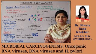 MICROBIAL CARCINOGENESIS Oncogenic RNA viruses DNA viruses and H pylori [upl. by Johiah]