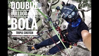 Tree Climbing  Triple Crotch Double Bulldog Bon  Bola  Gopro  Dmm Captain Hook [upl. by Alleen594]