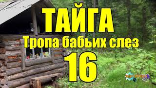 ОТШЕЛЬНИКИ  ЖИЗНЬ В ТАЙГЕ 16 из 16 [upl. by Sedgewake]