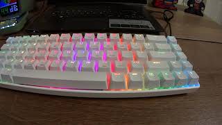 LexonElec STOGA MK14 Mechanical Keyboard Review [upl. by Ham719]