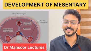 Development of Mesentery  Anatomy Dr Mansoor Malayalam Lecture [upl. by Hocker]