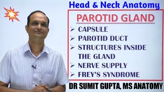 PAROTID GLAND Part2  Capsule  Duct  Nerve supply  Freys syndrome [upl. by Zwick180]