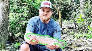 Hiwassee River trout fishing [upl. by Adanama]