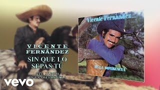 Vicente Fernández  Sin Que Lo Sepas Tú Cover Audio [upl. by Atiuqrehs]