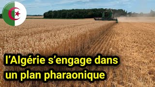 Campagne Agricole 2025  Objectif Blé Dur et Réformes Clés pour lAutosuffisance Alimentaire en 🇩🇿 [upl. by Cirtemed944]