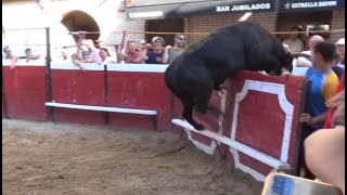 Toro de Pedro Domínguez se mete en burladero en Cadreita 23 julio 2022 [upl. by Ijat]