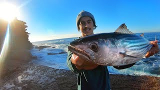 Rock Fishing for Bonito amp Tailor 150m From My House  Fishing Australia [upl. by Haon]