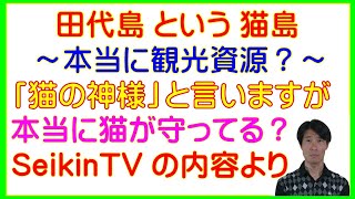 「猫島！？ or 猫の神様を祀る島！？」宮城県・田代島の事情から考える野放し猫問題の現実の解決策～愛猫家は現実逃避をやめよう～SeikinTV、八百万の神々、糞尿公害、公共の福祉、TNR］ [upl. by Aihsenor]