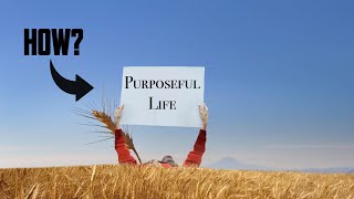 The Pursuit of Purpose  Your Lifes North Star [upl. by Aim]