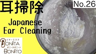 Cozy Japanese Ear Cleaning 26 [upl. by Enomed]