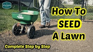 How To Seed a Lawn  Complete Step By Step Guide [upl. by Assenna]