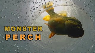 Ice Fishing Jumbo Perch  Cascade Lake Idaho [upl. by Doersten]