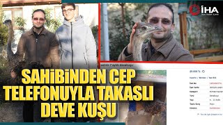 Yavruyken Aldığı Deve Kuşunu Cep Telefonu Takasıyla İlana Koydu [upl. by Kat]