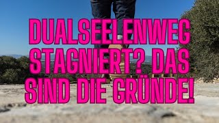 Folge 74 Dualseelenprozess stagniert – Die wahren Gründe deines Gefühlsklärers [upl. by Atnahs]