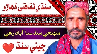 Sindh Cultural Day  Sindhi Song 2024  Nabi Daad Official [upl. by Ameerak]