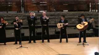 Mariachi Los Amigos [upl. by Engracia]