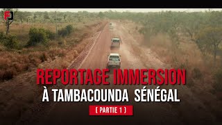 REPORTAGE IMMERSION À TAMBACOUNDA AU SÉNÉGAL Partie 1 [upl. by Nisotawulo]