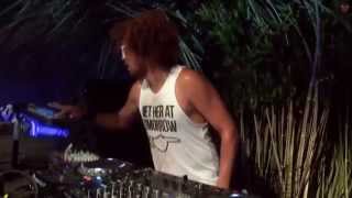 Redfoo in Tomorrowland 2014 [upl. by Godrich]