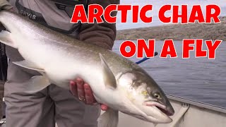 UNGAVA BAY ARCTIC CHAR ON A FLY  NUNAVIK QUEBEC [upl. by Bez]