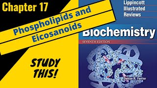 Lippincotts Biochemistry Review Chapter 17 Phospholipids and Eicosanoids  Study This [upl. by Johppa]