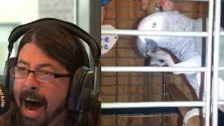 Dave Grohl and The Parrot splitscreen version [upl. by Kyd]