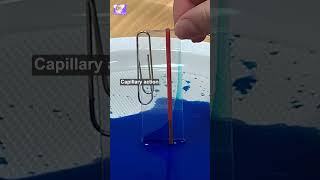 Creating Parabolic Curves The Art of Capillary Action sciencefun [upl. by Amelia]