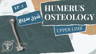 Humerus Practical Anatomy  تشريح عملي [upl. by Helge]