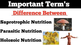 Nutrition Saprotrophic Nutrition  Parasitic Nutrition  Holozoic Nutrition  By Dadhich Sir [upl. by Anitsrik]