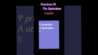 Functions of the Epithelium shorts medicine [upl. by Akeber]