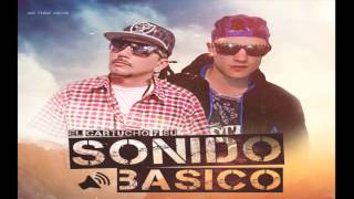 Sonido Básico  Llegaste Tu [upl. by Ecinnaj]