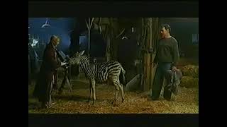 Racing Stripes movie trailer 2 from 2005 [upl. by Ahtibat882]