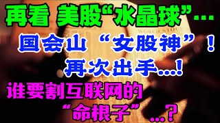 再看：美股 “水晶球”。。。国会山“女股神”！再次出手谁要割互联网的“命根子”？ [upl. by Briana779]